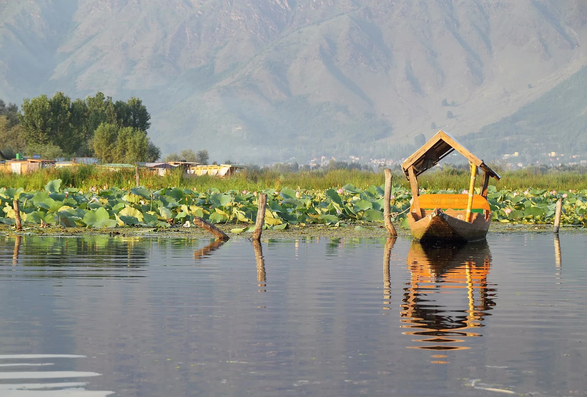 Deluxe Houseboat — Dal Lake