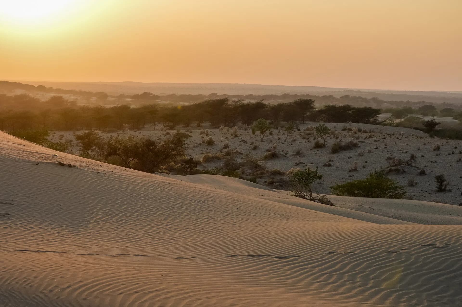 Jaisalmer photo 2
