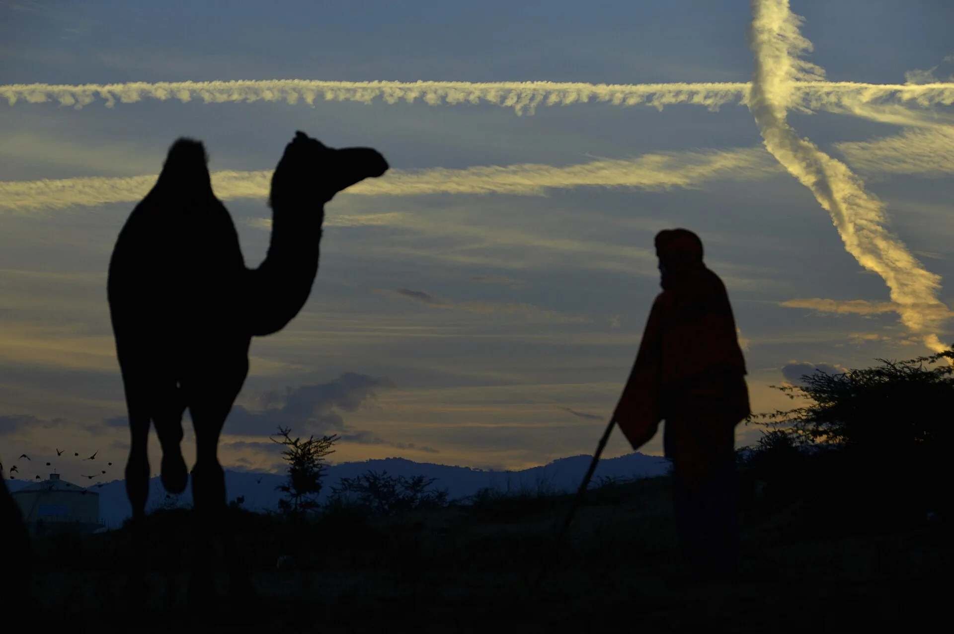 Jaisalmer photo 3